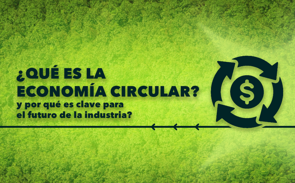 ¿Qué es la economía circular y por qué es clave para el futuro de la industria?