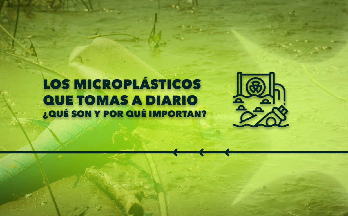 ¿Qué son los microplásticos y por qué importan?