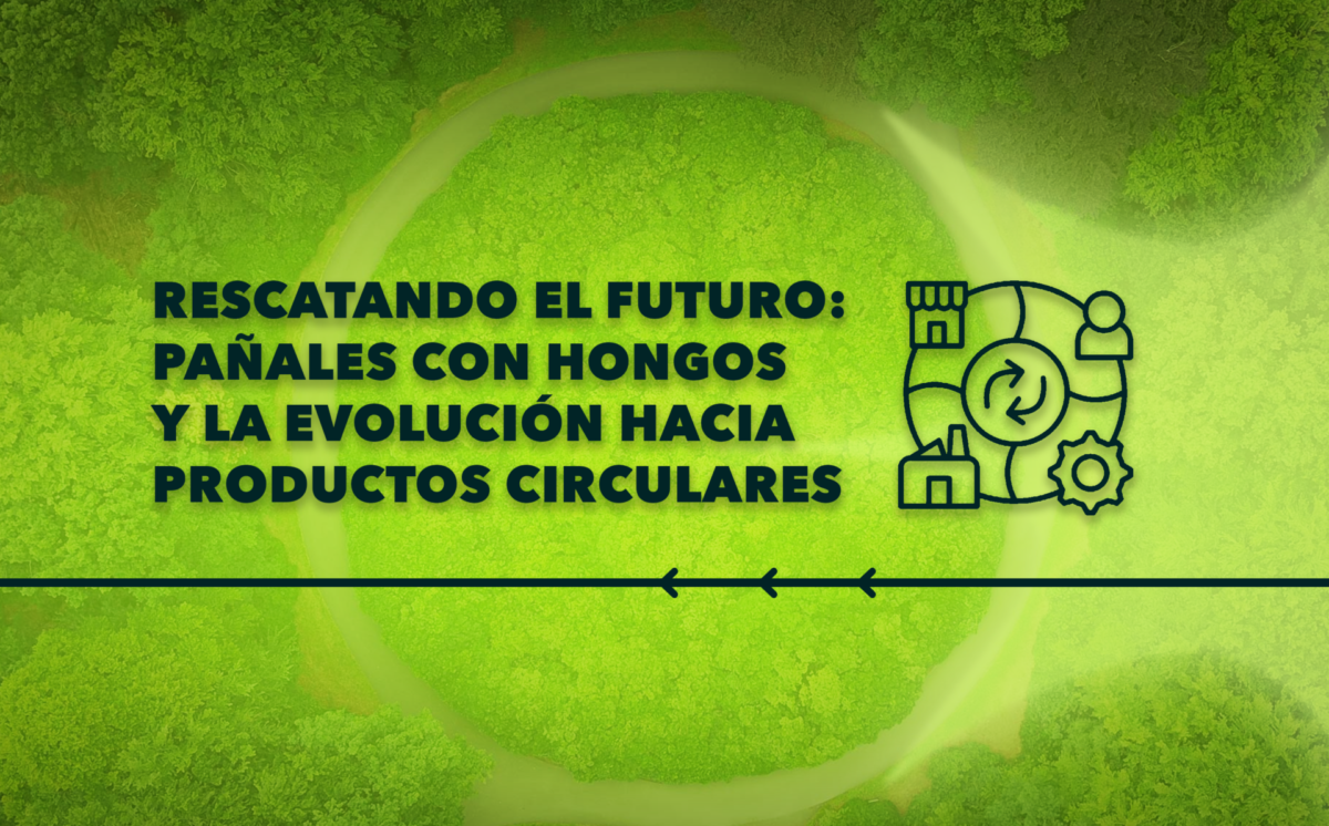 Rescatando el Futuro: Pañales con Hongos y la Evolución hacia Productos Circulares