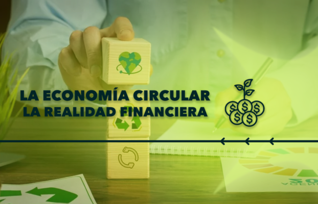 La Economía Circular: La Realidad Financiera