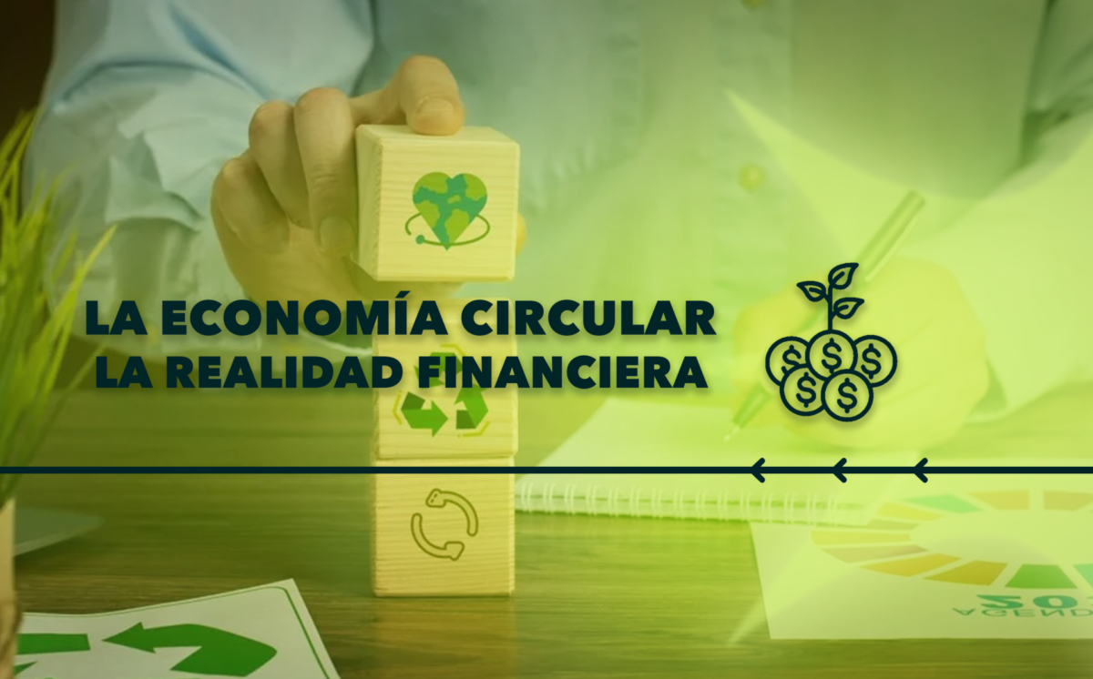 La Economía Circular: La Realidad Financiera