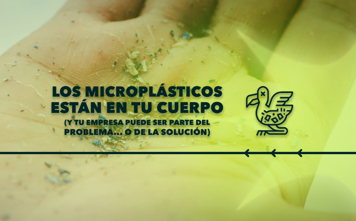 Los Microplásticos están en Tu Cuerpo (y Tu Empresa Puede Ser Parte del Problema… o de la Solución)